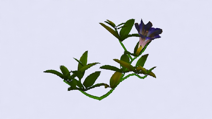 渲染模型_植物990