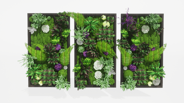 渲染模型_植物挂画001