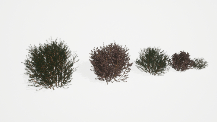 渲染模型_植被085