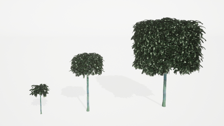 渲染模型_植被091