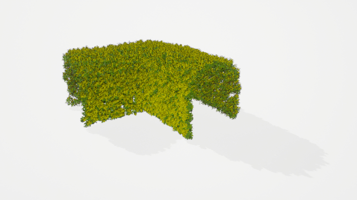 渲染模型_植被096