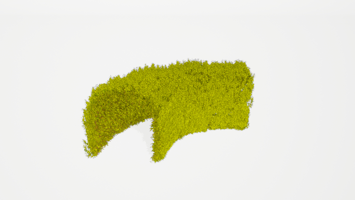 渲染模型_植被098