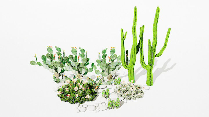 渲染模型_沙漠绿植001