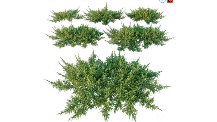 渲染模型_灌木136