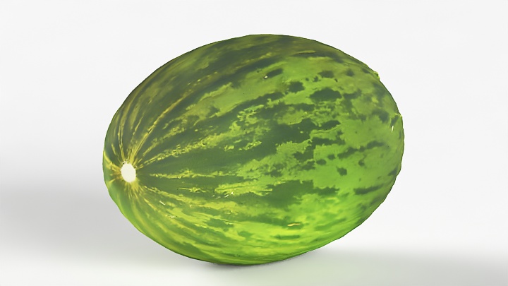 渲染模型_甜瓜005