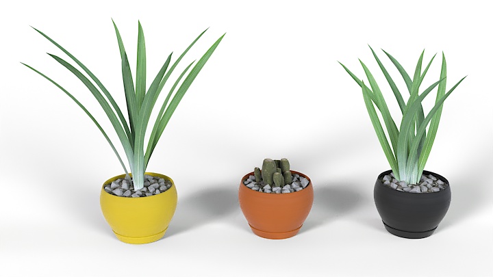渲染模型_盆栽569