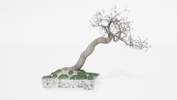 渲染模型_盆栽577