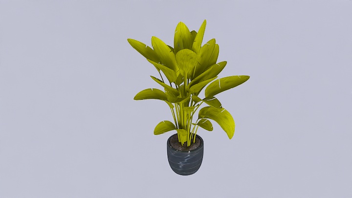 渲染模型_盆栽582