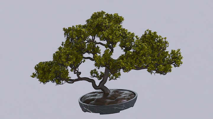 渲染模型_盆栽587