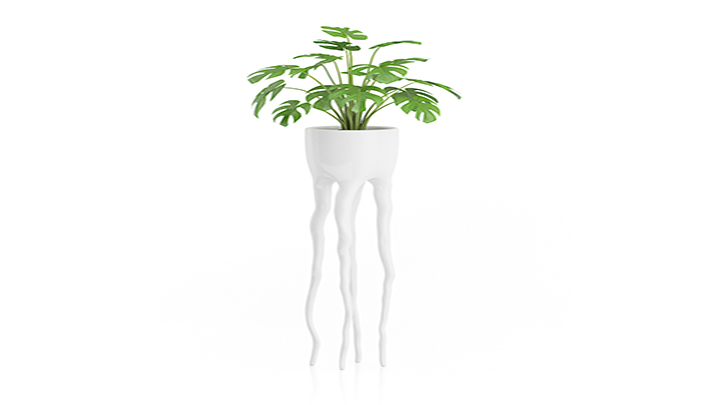 渲染模型_盆栽618