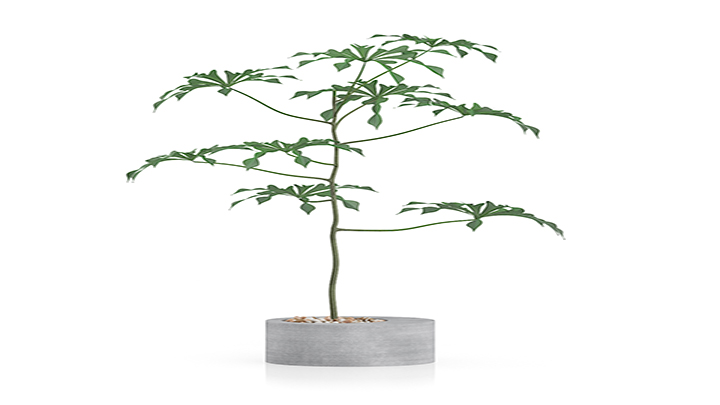 渲染模型_盆栽623