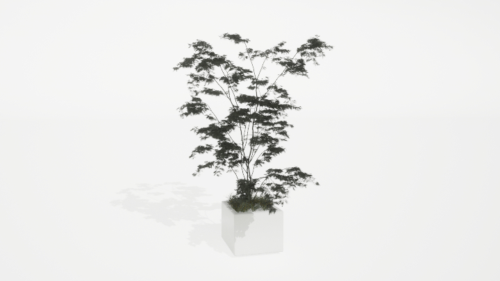 渲染模型_盆栽绿植159