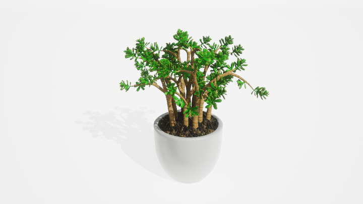 渲染模型_盆栽绿植169