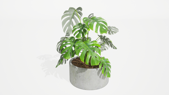渲染模型_盆栽绿植179