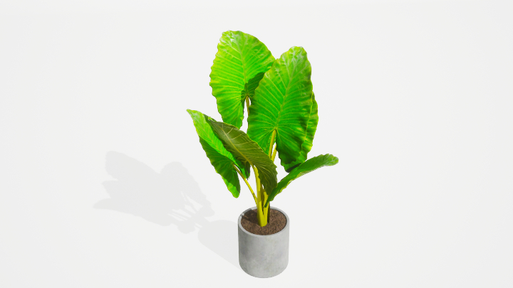 渲染模型_盆栽绿植181