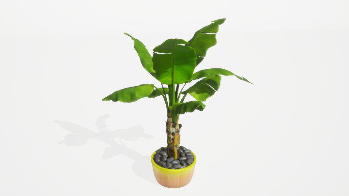 渲染模型_盆栽绿植183