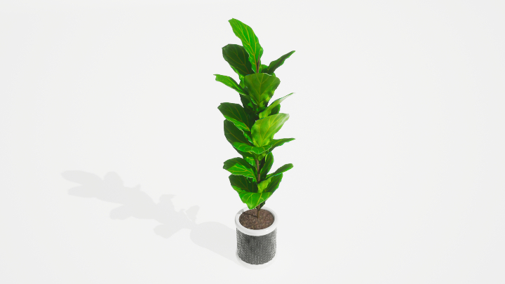渲染模型_盆栽绿植196