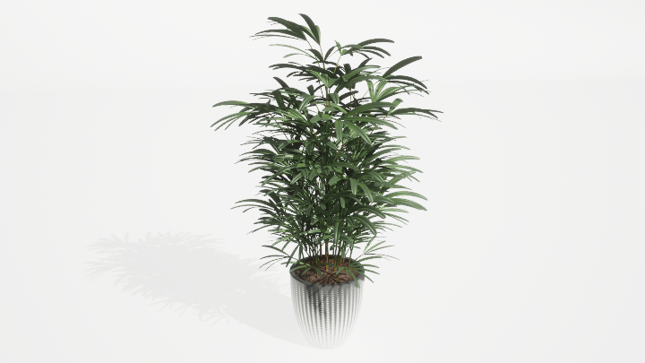 渲染模型_盆栽绿植203