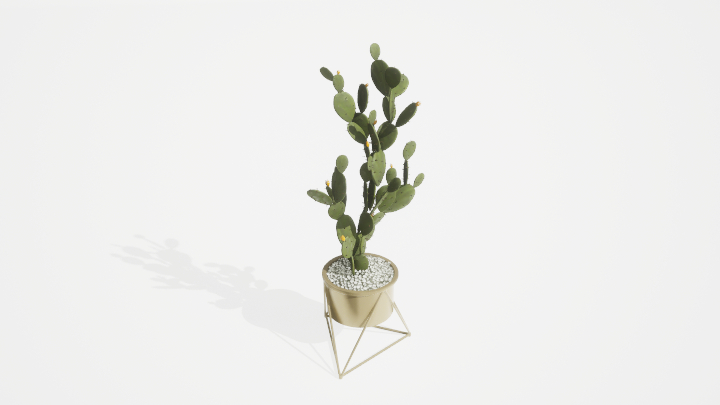渲染模型_盆栽绿植209