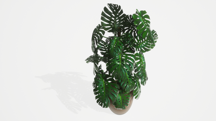 渲染模型_盆栽绿植214