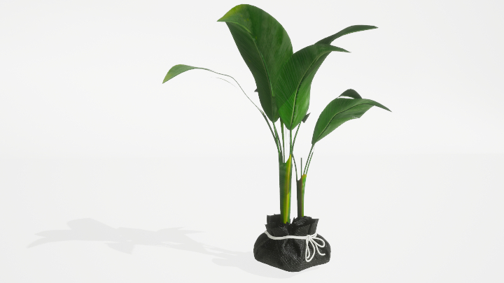 渲染模型_盆栽绿植223