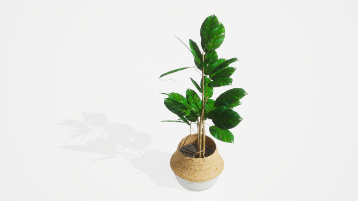 渲染模型_盆栽绿植228