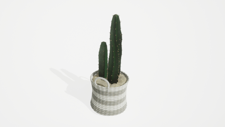 渲染模型_盆栽绿植256