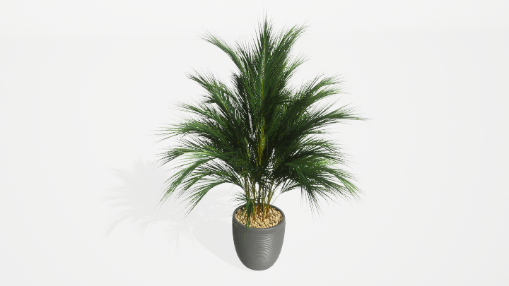 渲染模型_盆栽绿植259