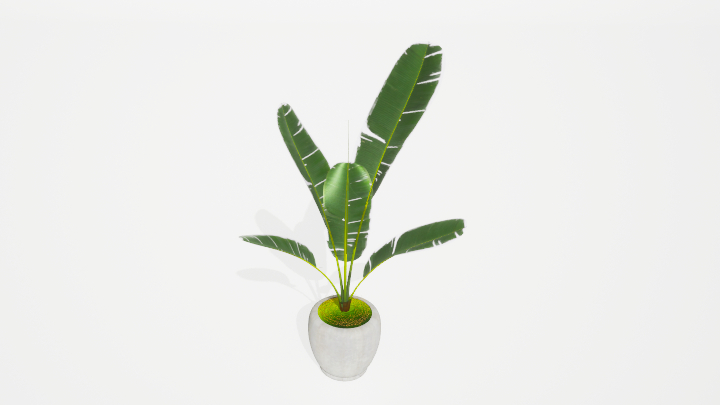 渲染模型_盆栽绿植260