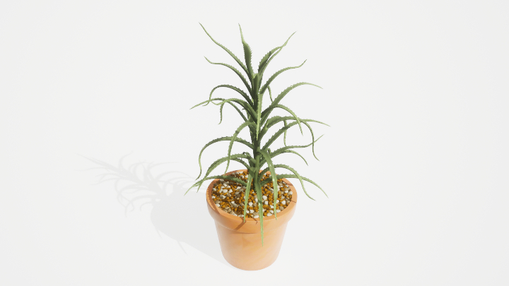 渲染模型_盆栽绿植266