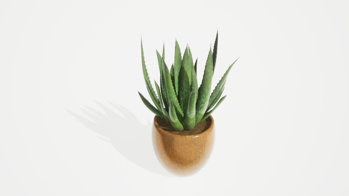 渲染模型_盆栽绿植268