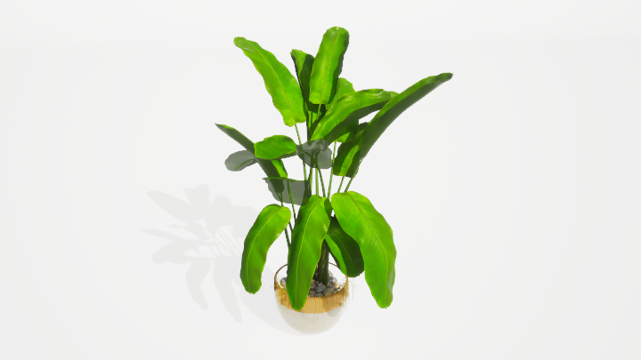 渲染模型_盆栽绿植270