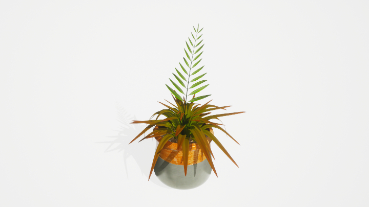 渲染模型_盆栽绿植274
