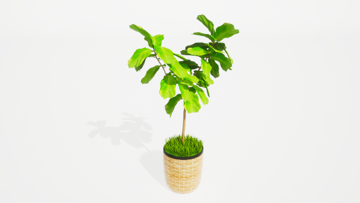 渲染模型_盆栽绿植290