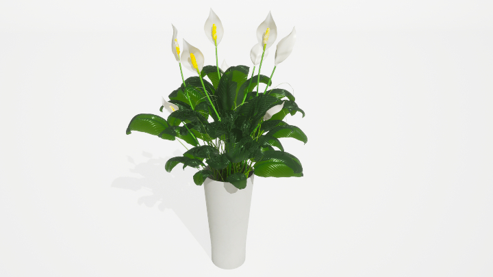 渲染模型_盆栽绿植341