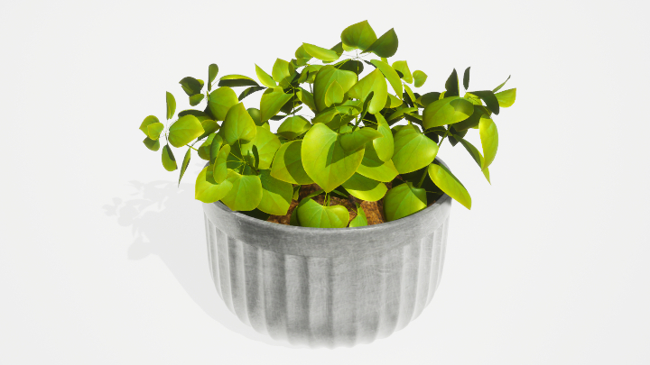 渲染模型_盆栽绿植351