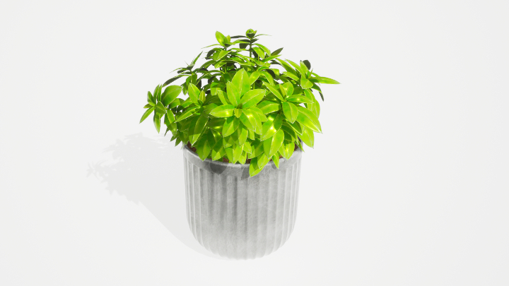 渲染模型_盆栽绿植352