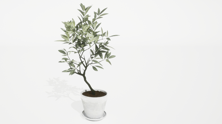 渲染模型_盆栽绿植355