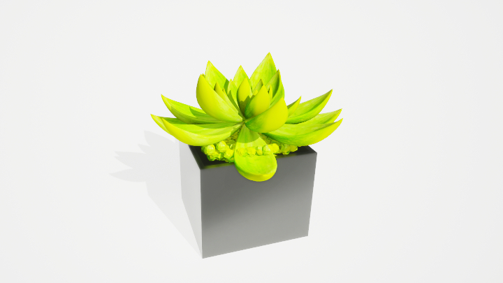 渲染模型_盆栽绿植361