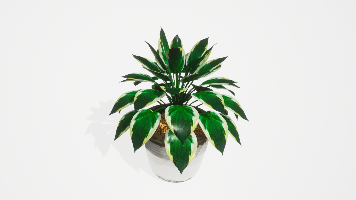 渲染模型_盆栽绿植386