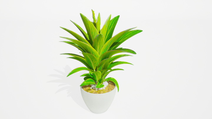 渲染模型_盆栽绿植390