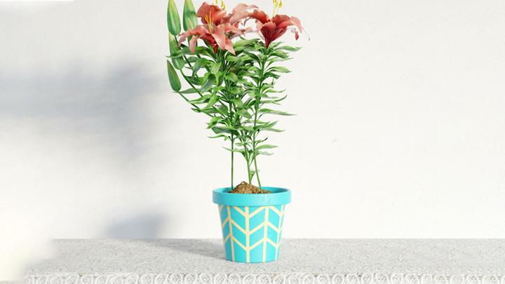 渲染模型_盆栽装饰001