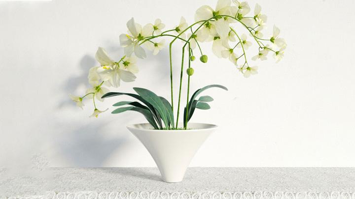 渲染模型_盆栽装饰005