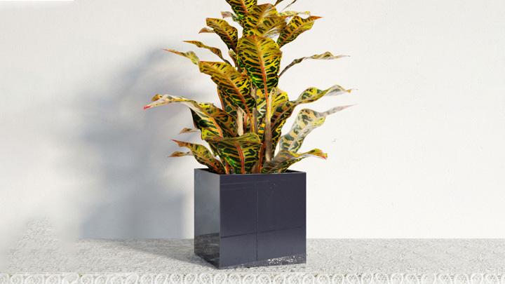 渲染模型_盆栽装饰010