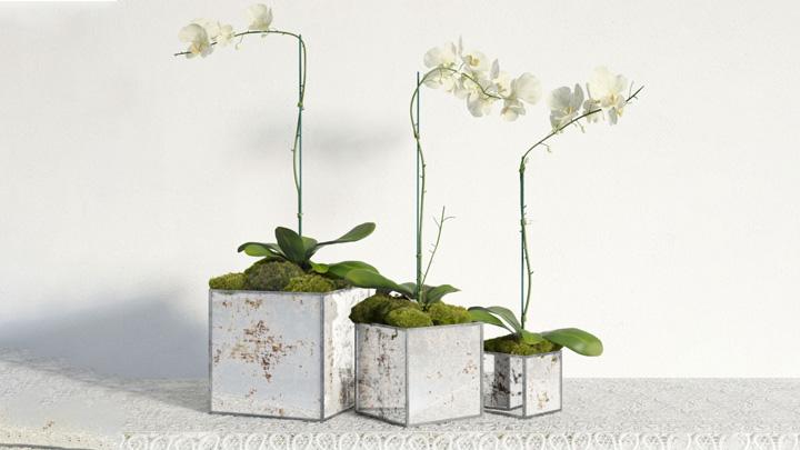 渲染模型_盆栽装饰028