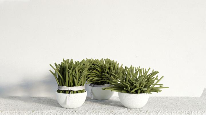 渲染模型_盆栽装饰031