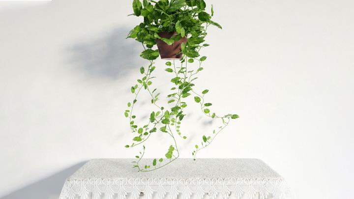 渲染模型_盆栽装饰034