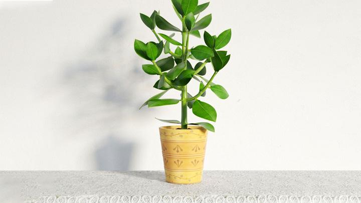 渲染模型_盆栽装饰042