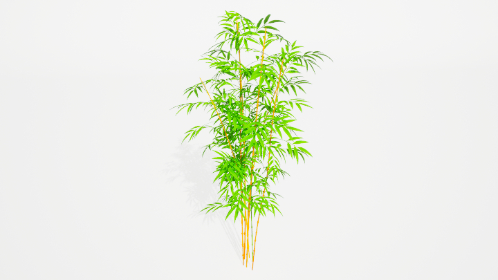 渲染模型_竹子002