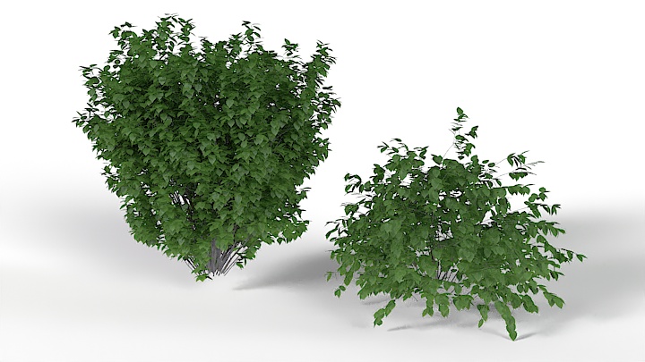 渲染模型_绿植080